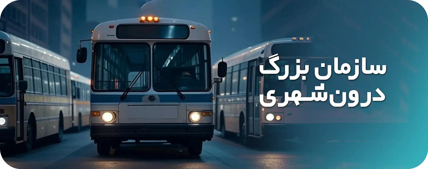 سازمان بزرگ درون شهری