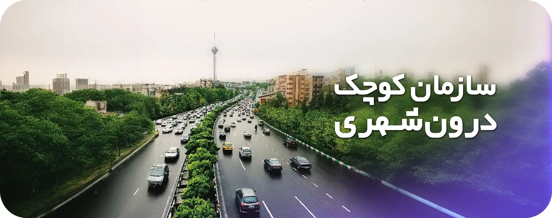 سازمان کوچک درون شهری